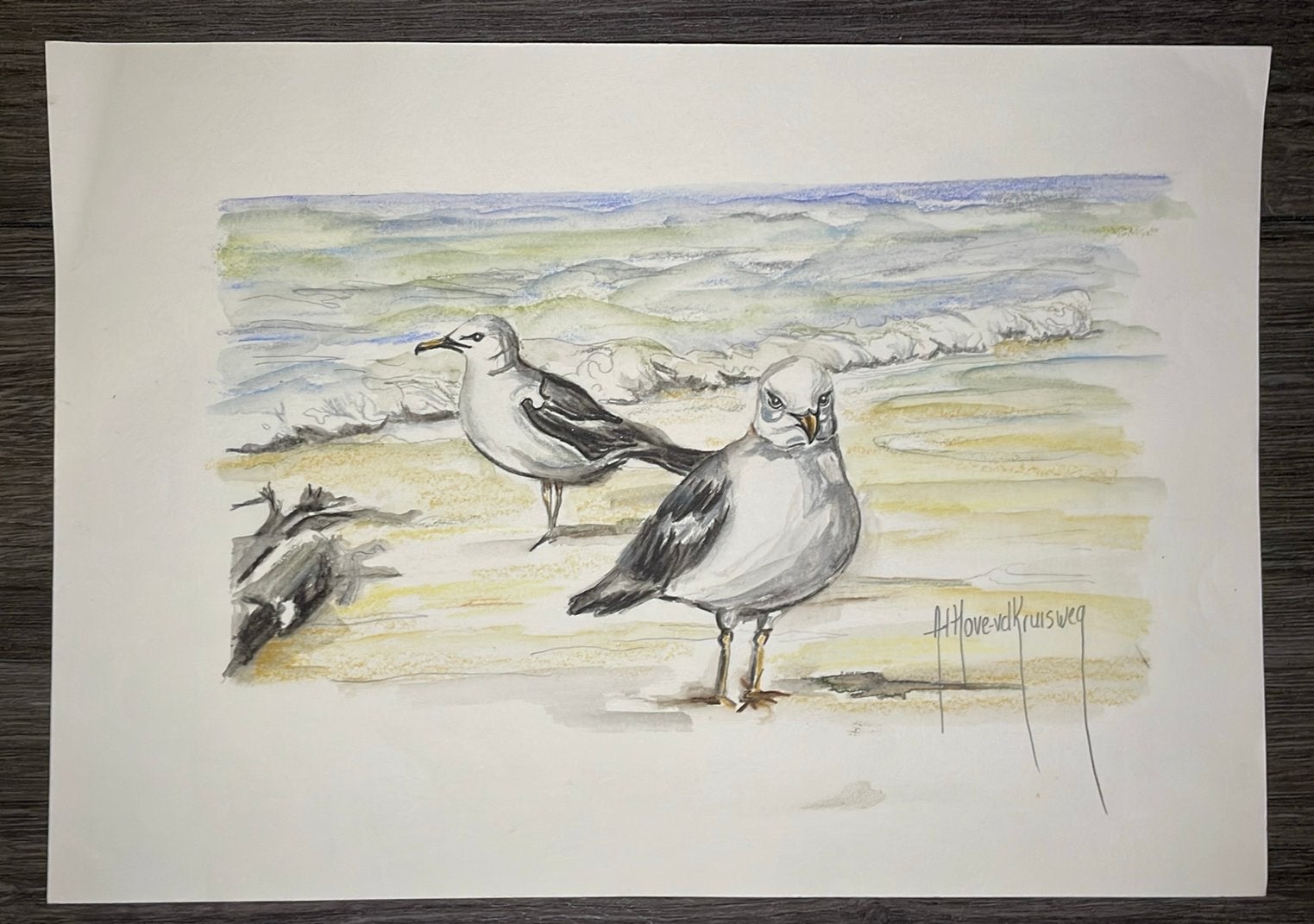Aquarel tekening meeuwen, Antiek en Kunst, Kunst | Tekeningen en Foto's, Ophalen of Verzenden, Aquarel