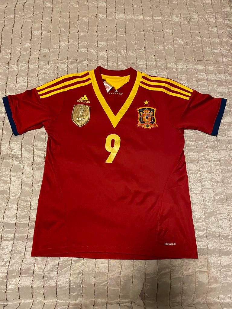 Verzamelobjecten Spanje Thuisshirt WK 2014 -Fernando Torres, Maat M, Ophalen of Verzenden, Zo goed als nieuw, Shirt