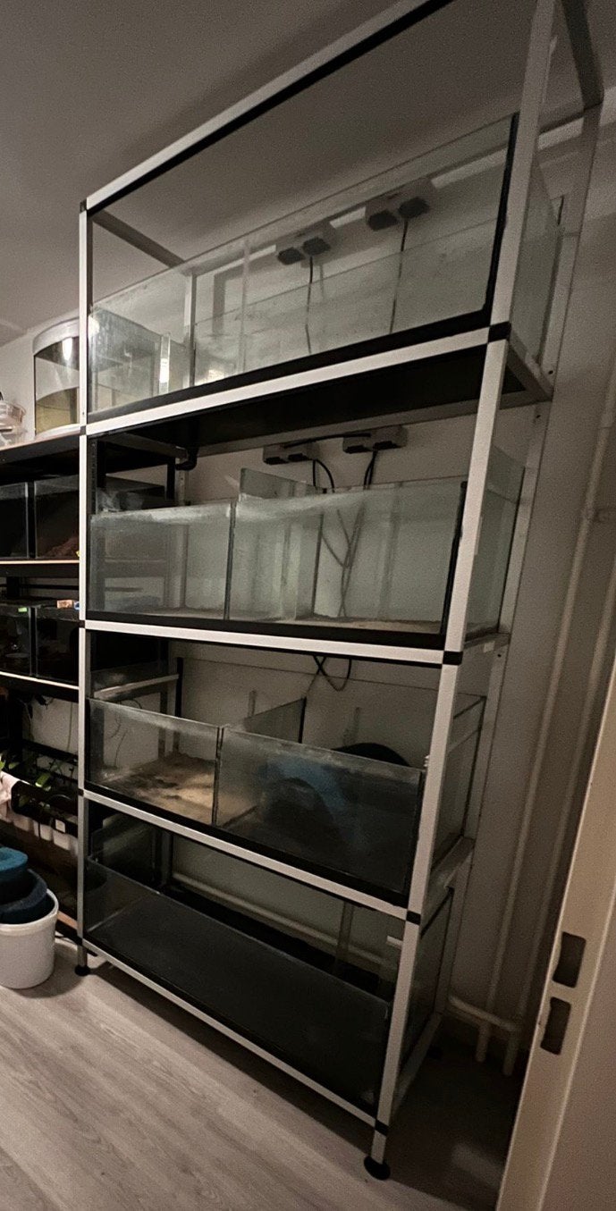 Kweekstelling 4 aquariums, Ophalen, Gebruikt