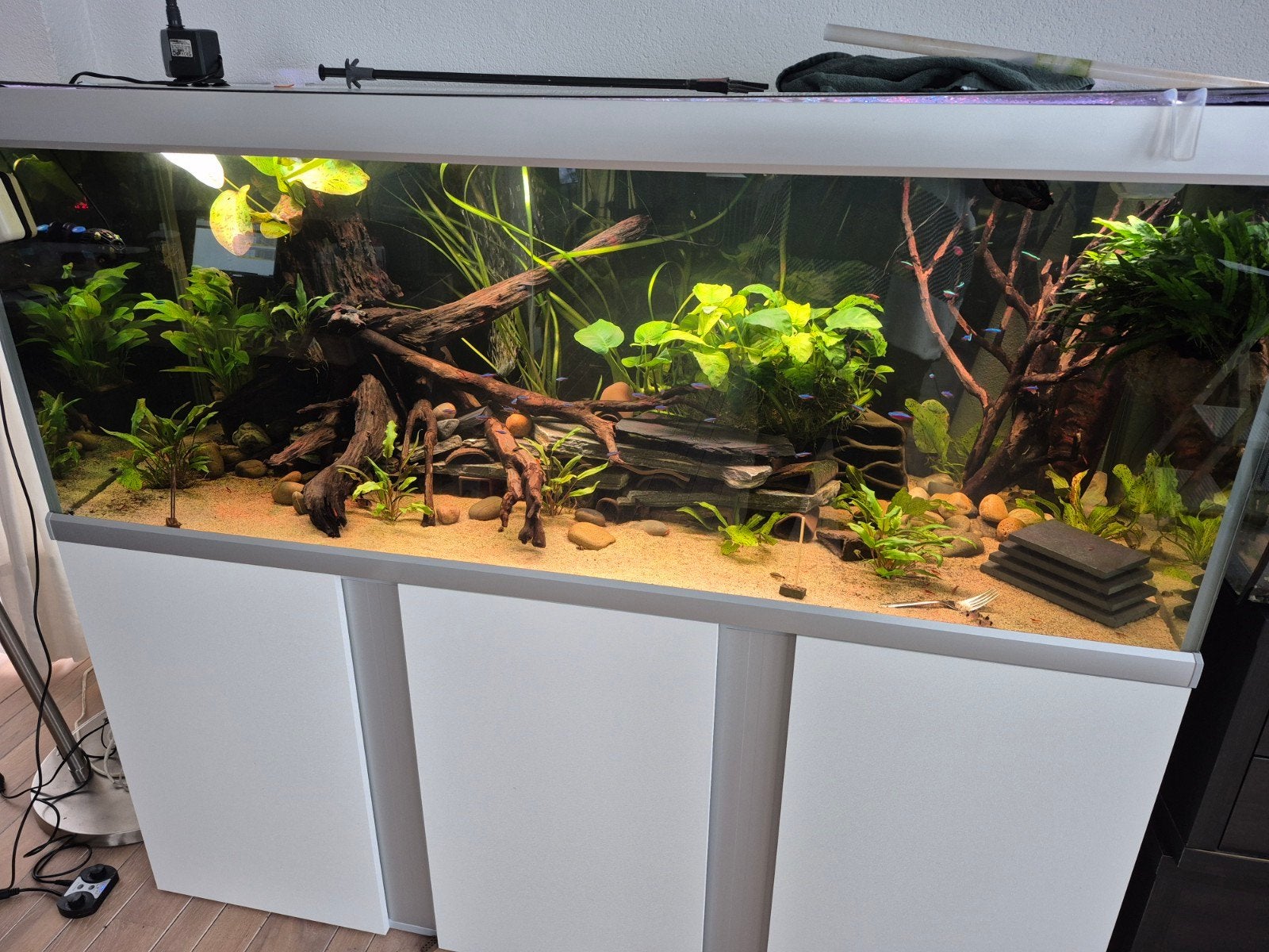Akvastabil Fusion 160 incl alles, Dieren en Toebehoren, Ophalen, Zo goed als nieuw
