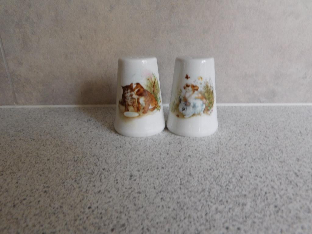 Peper en Zout stel Bone China Kat en Konijn, Huis en Inrichting, Keuken | Servies, Overige typen, Ophalen of Verzenden, Zo goed als nieuw