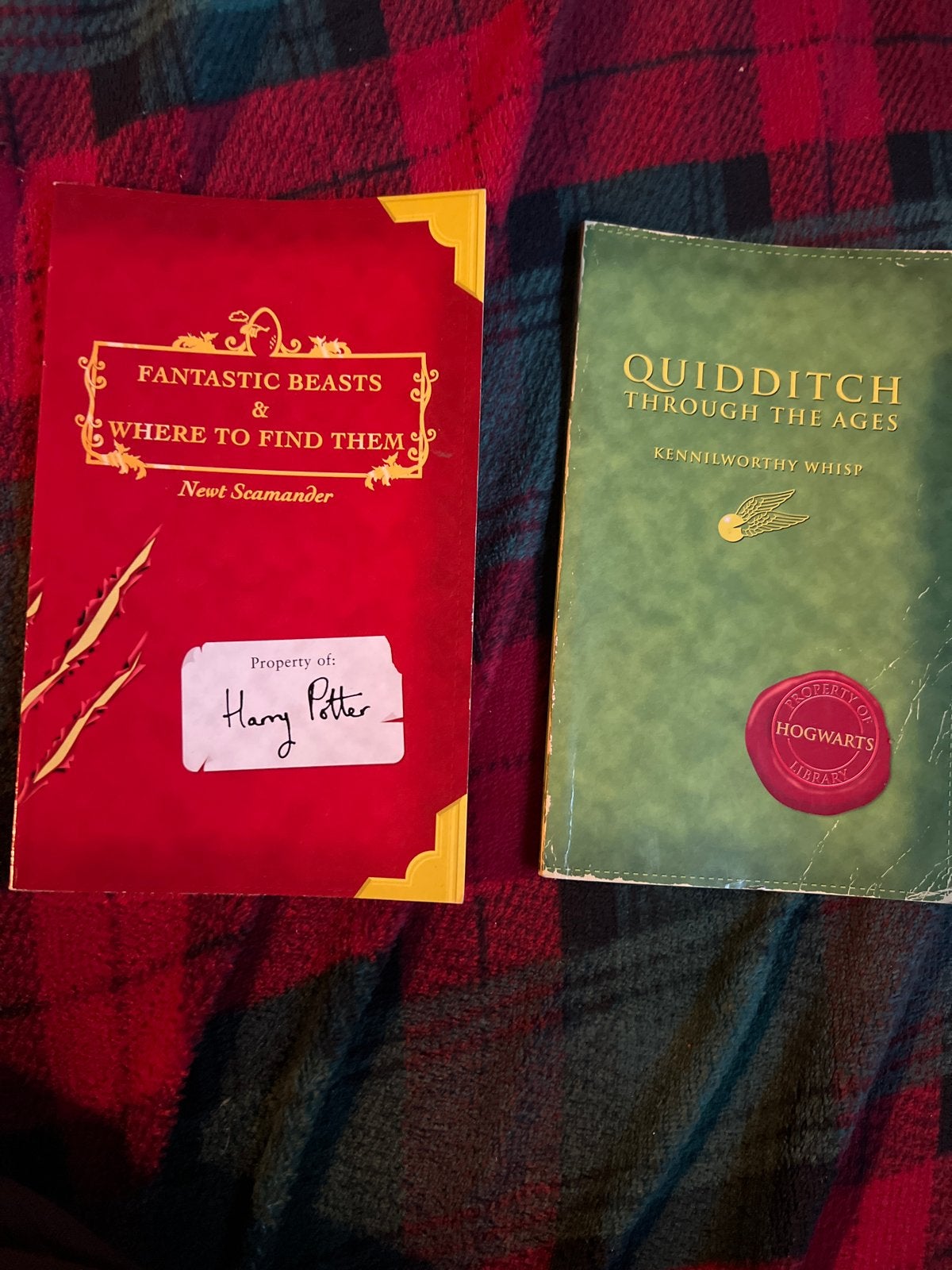 Harry Potter: Fabeldieren en Waar Ze Te Vinden & Zwerkbal, Boeken, Ophalen of Verzenden, Gelezen