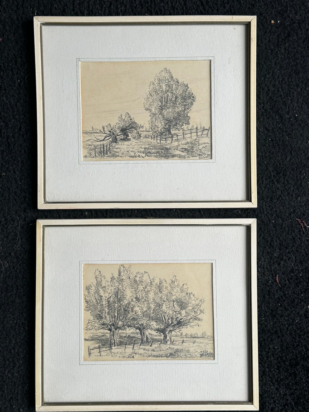 Oude potlood tekeningen Knotwilgen 24/27 cm 1 koop, Antiek en Kunst, Ophalen of Verzenden