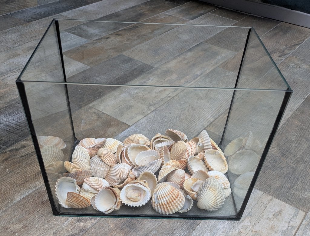 Aquariumbakje, Ophalen, Zo goed als nieuw