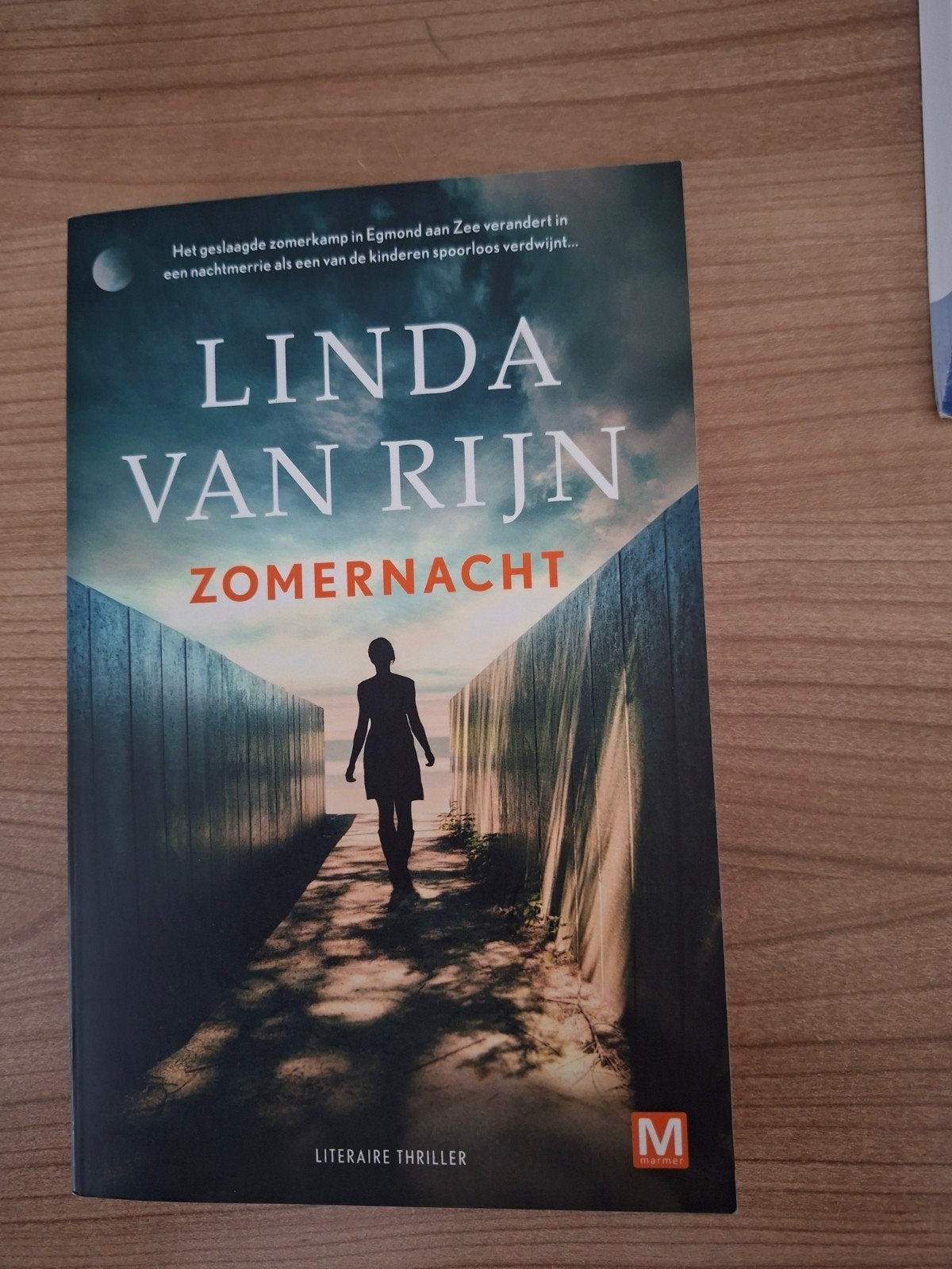 Zomernacht - Linda van Rijn, Boeken, Ophalen of Verzenden, Zo goed als nieuw, Linda van Rijn