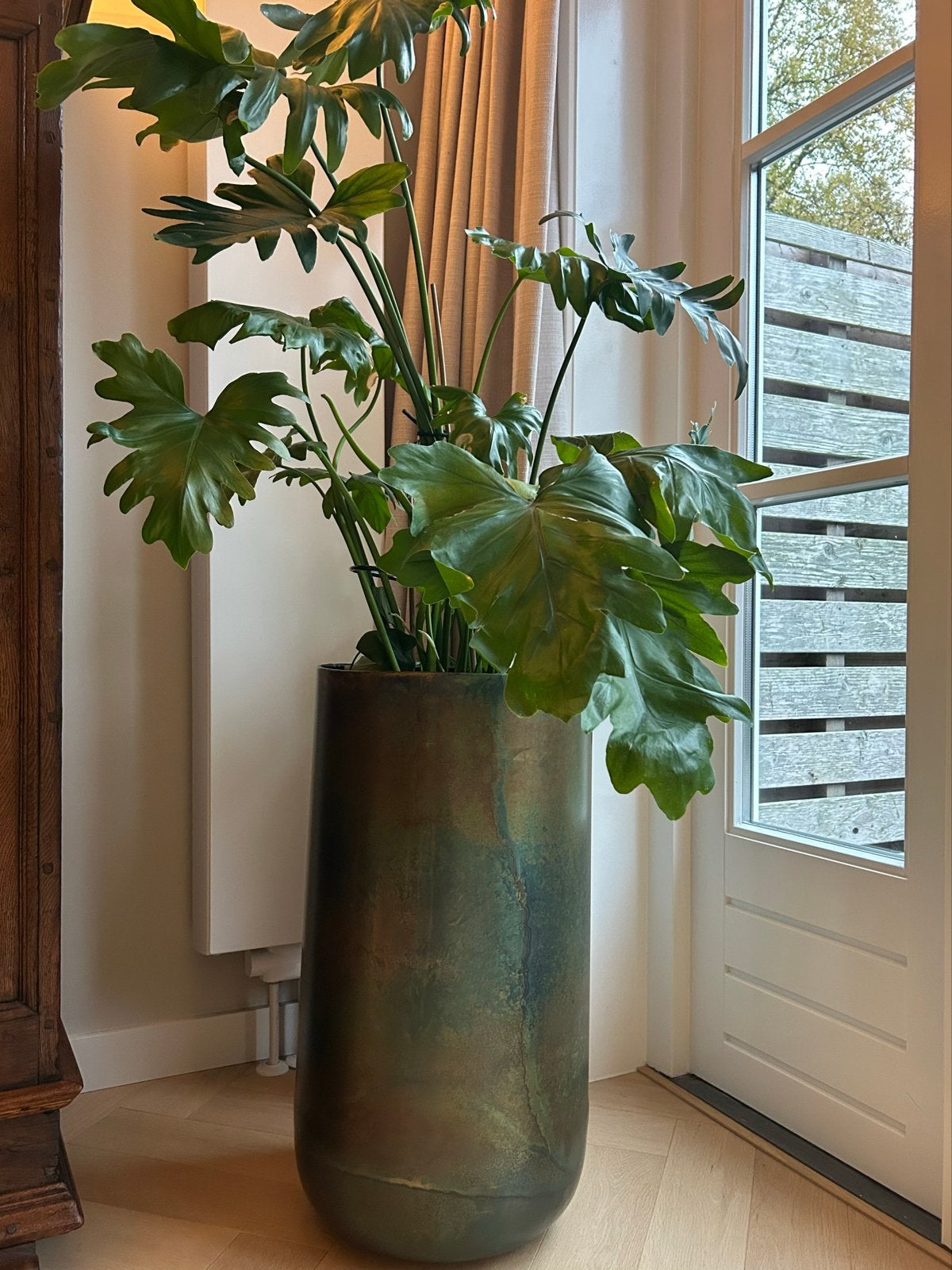 Grote bloempot 70cm met grote Philodendron kamerplant, Rond, Binnen, Zo goed als nieuw, Metaal