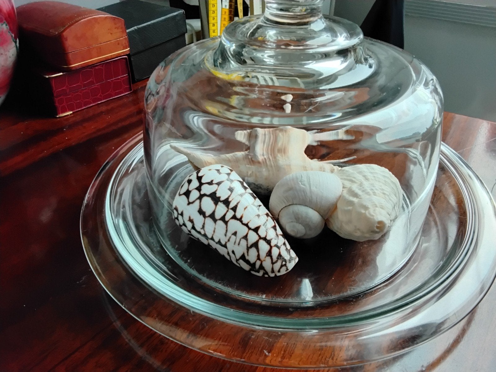 stol met schelpen, Ophalen of Verzenden, Schelp(en)