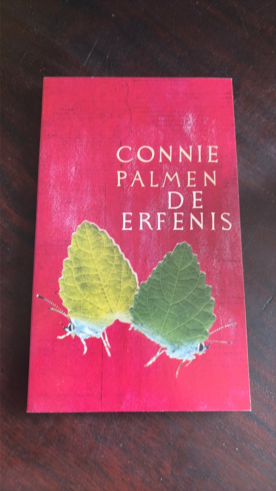 De Erfenis - Connie Palmen, Boeken, Gelezen, Ophalen of Verzenden, Nederland, Connie Palmen