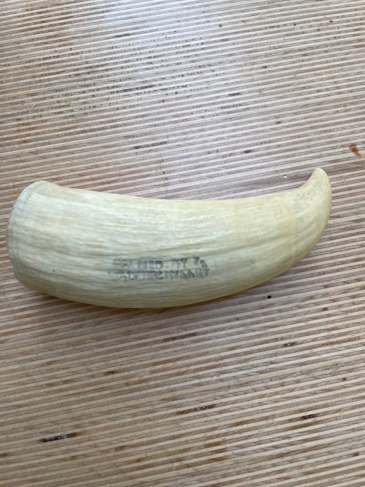 NV ned maatschappij ve Walvisvaart, Verzenden