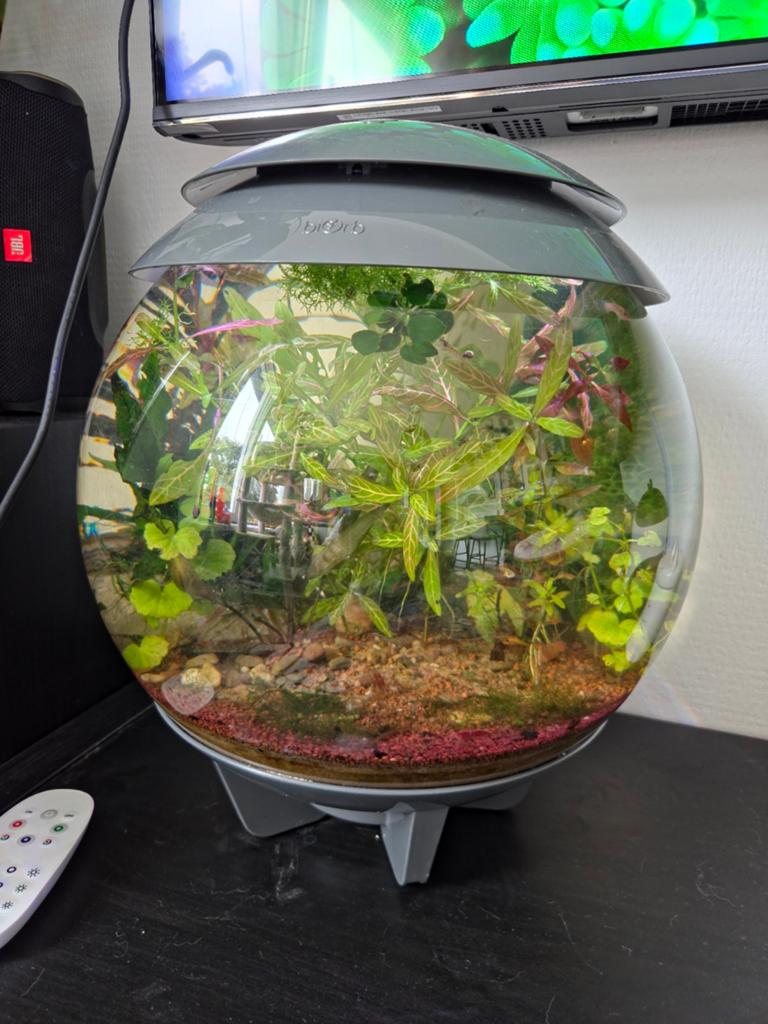 Biorb Aquarium 15L, Ophalen