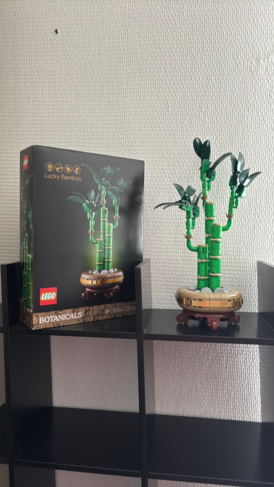 LEGO Botanicals Lucky Bamboo 10344 - Nieuwstaat, Ophalen, Zo goed als nieuw, Overige merken