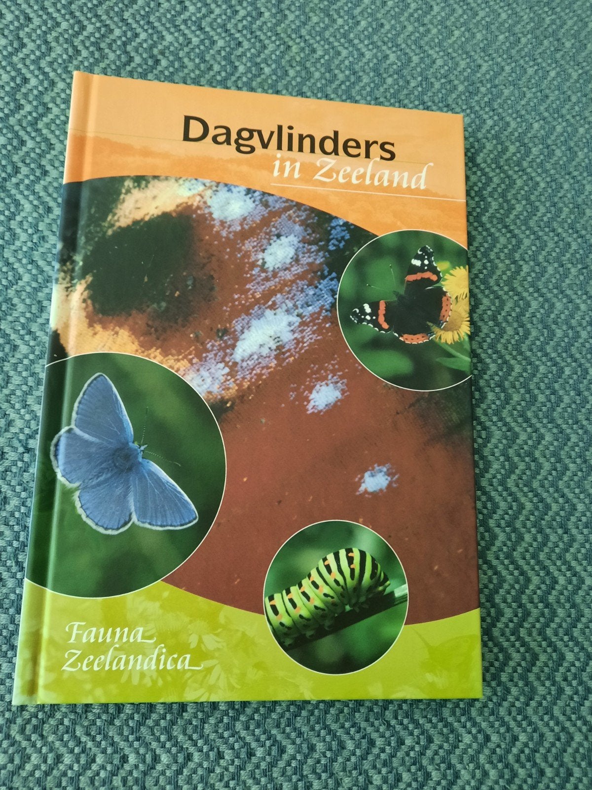 Dagvlinders in Zeeland - Fauna Zeelandica - Hardcover, Ophalen of Verzenden, Zo goed als nieuw, Natuur algemeen, Onbekend