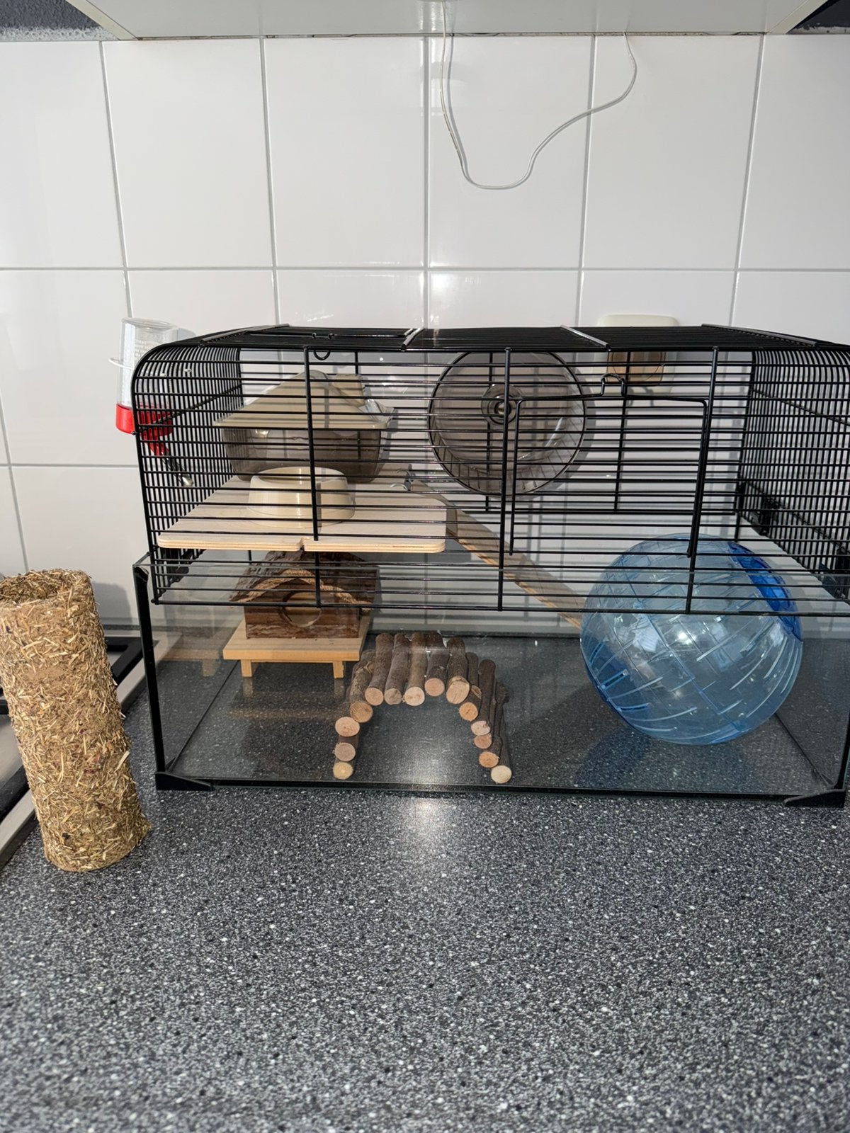 Glazen hamster kooi incl accesoires ZGAN!, Ophalen, Zo goed als nieuw, Overige typen