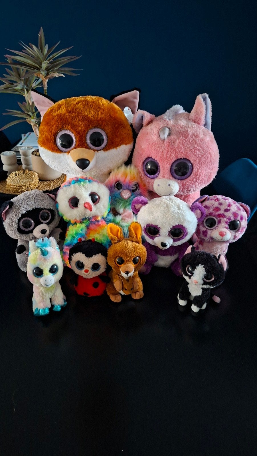 Ty Beanie Boo Knuffels - Groot, Middel en Klein, Gebruikt, Overige typen, Ophalen of Verzenden, Middelgroot (20 tot 80 cm)