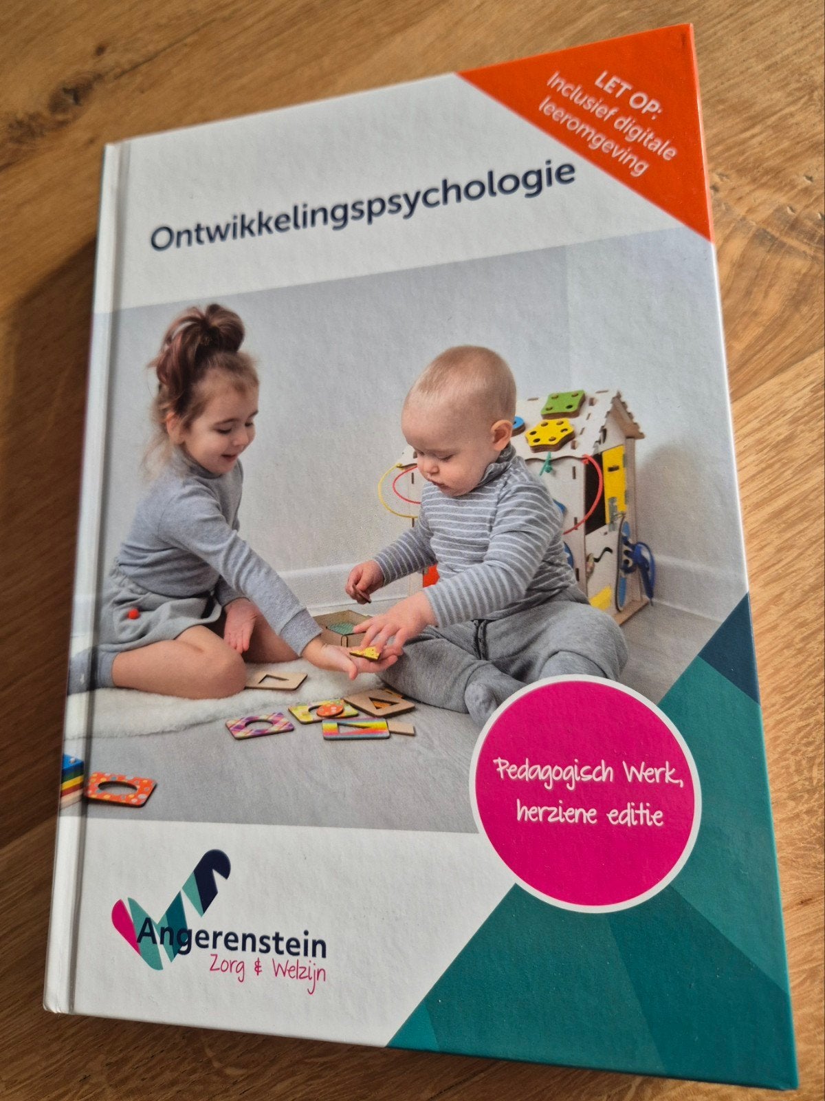 Ontwikkelingspsychologie - Angerenstein, Boeken, Schoolboeken, Ophalen of Verzenden, Zo goed als nieuw, Overige niveaus, Nederlands