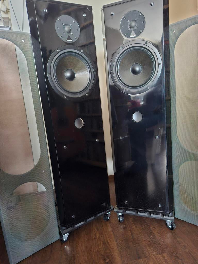 Driade 33, Audio, Tv en Foto, Luidsprekers, Zo goed als nieuw, Front, Rear of Stereo speakers, 120 watt of meer, Overige merken