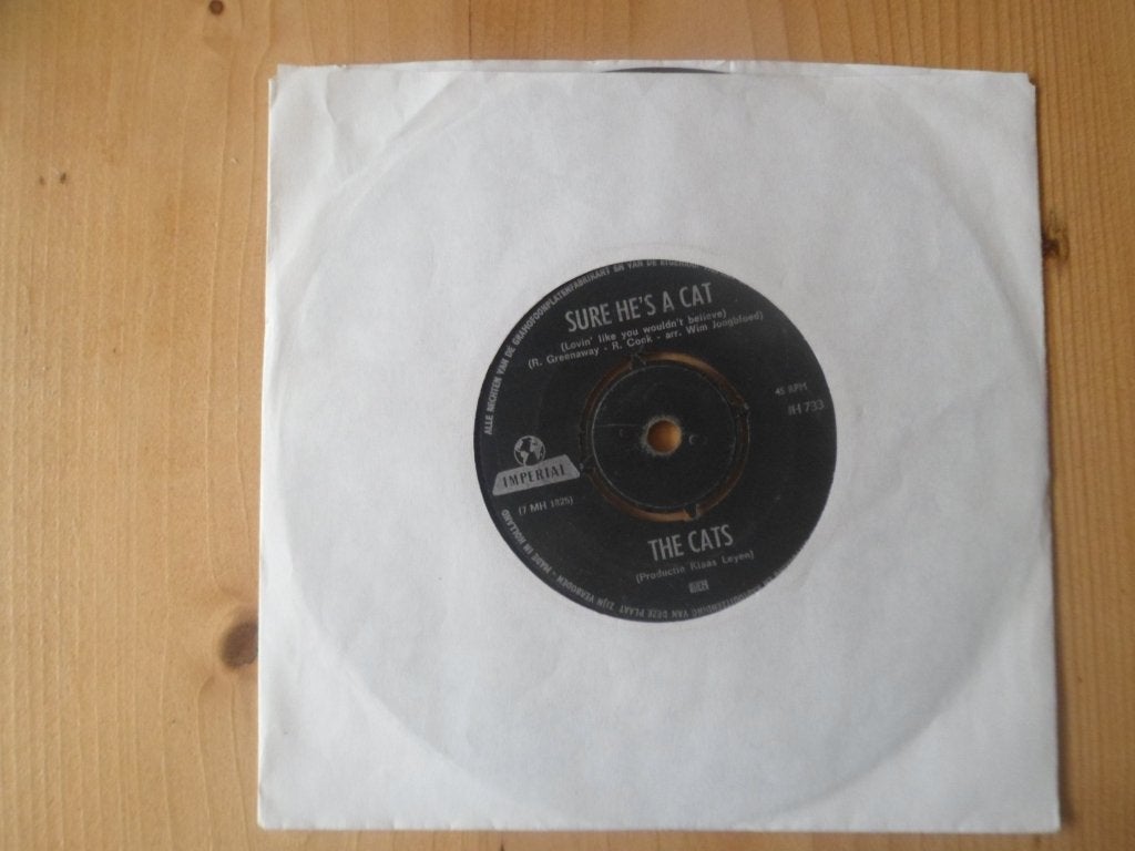Cats, Ophalen of Verzenden, Gebruikt, 7 inch, Pop