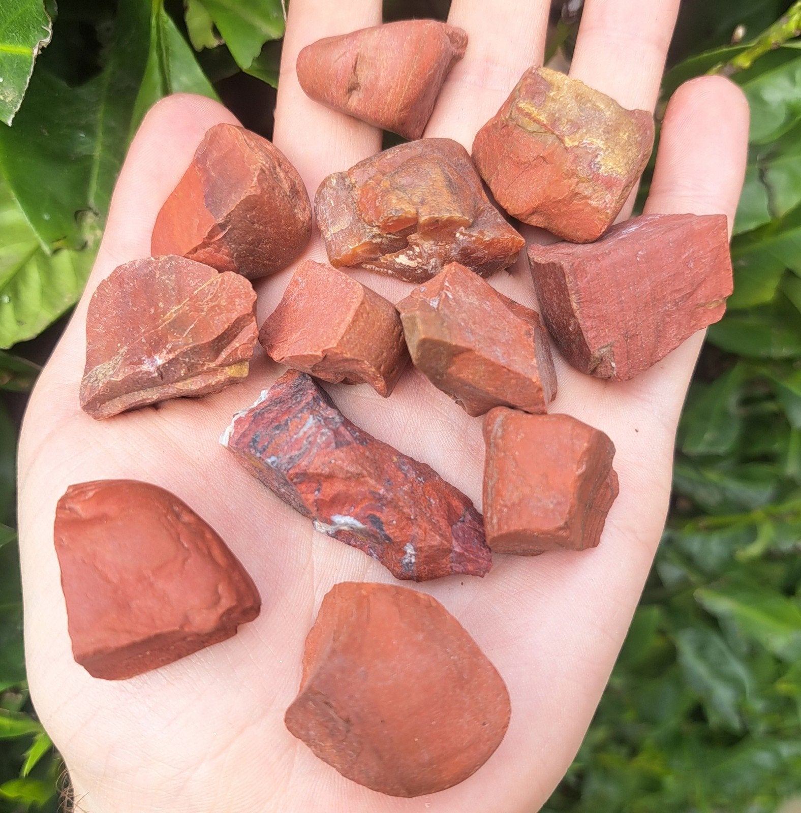 Rode Jaspis edelstenen verzameling ruw mineralen edelsteen, Ophalen of Verzenden
