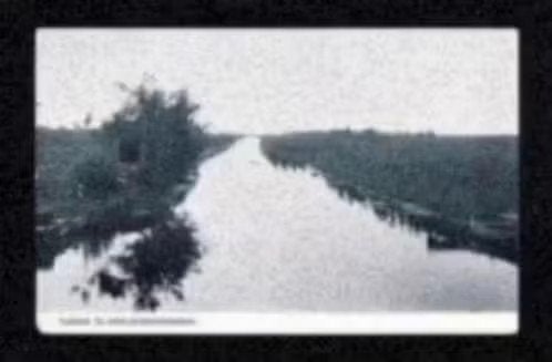 Roelofarendsveen Tuinen., Verzamelen, Ansichtkaarten | Nederland, Ophalen of Verzenden, Voor 1920, Ongelopen, Zuid-Holland