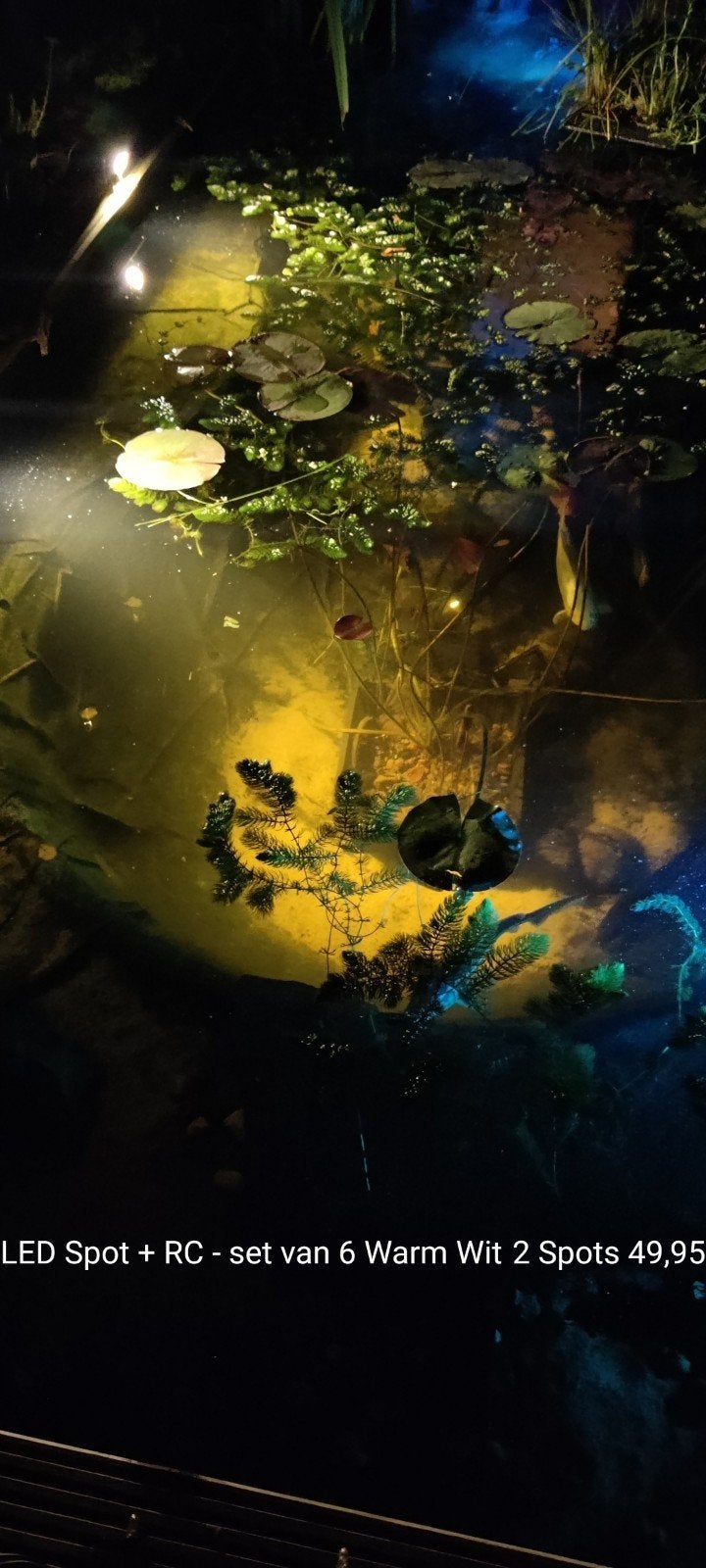 Vijver verlichting pompen en fonteinen, Ophalen of Verzenden, Nieuw