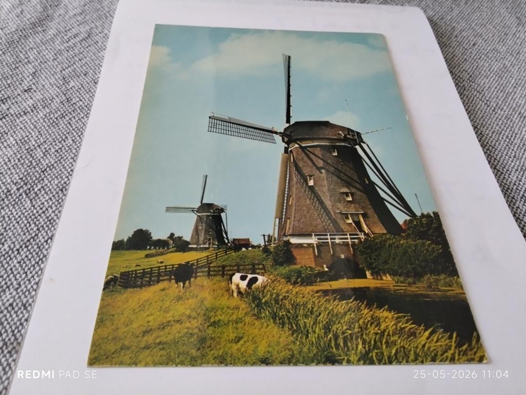 Oude ansichtkaart Hollandse Molen met koeien, Ophalen of Verzenden, 1960 tot 1980, Ongelopen, Gelderland