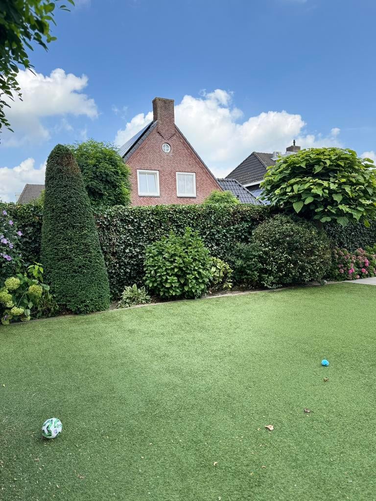 Hovenier/tuinman, Diensten en Vakmensen, Tuinmannen en Stratenmakers, Tuinonderhoud of Snoeiwerk