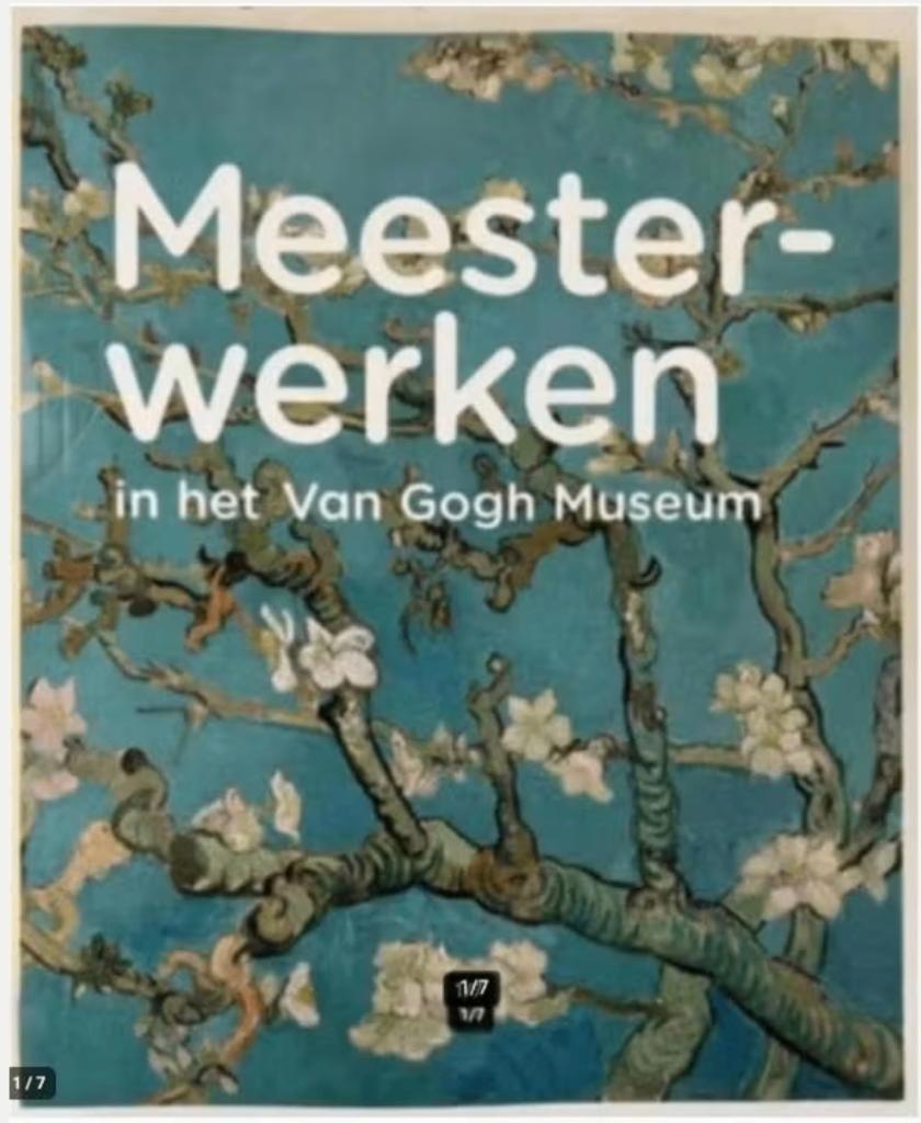 Meesterwerken in het Van Gogh Museum, Ophalen of Verzenden, Zo goed als nieuw, Schilder- en Tekenkunst