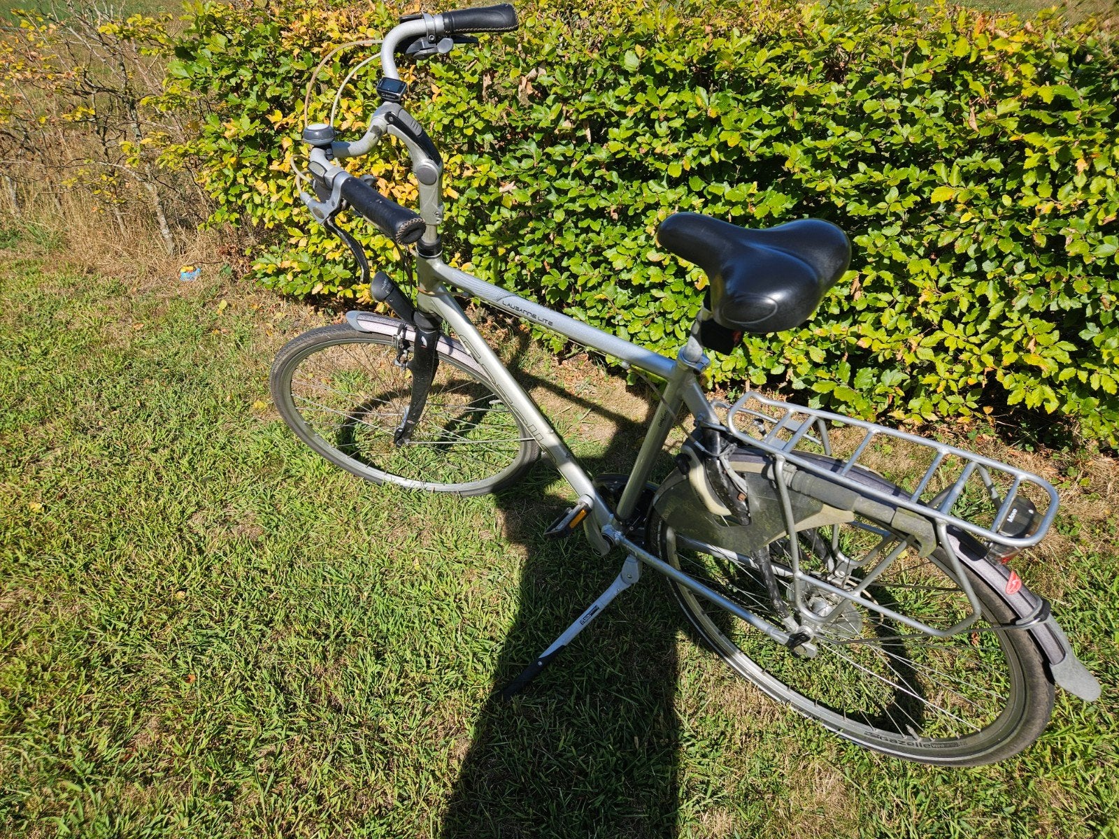 gazelle Lausanne light, Ophalen, Gebruikt, Velgrem, Versnellingen
