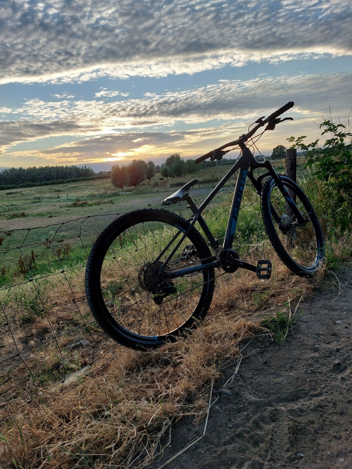 MTB Gaint terrago 29r, Ophalen, Hardtail, Heren, Giant