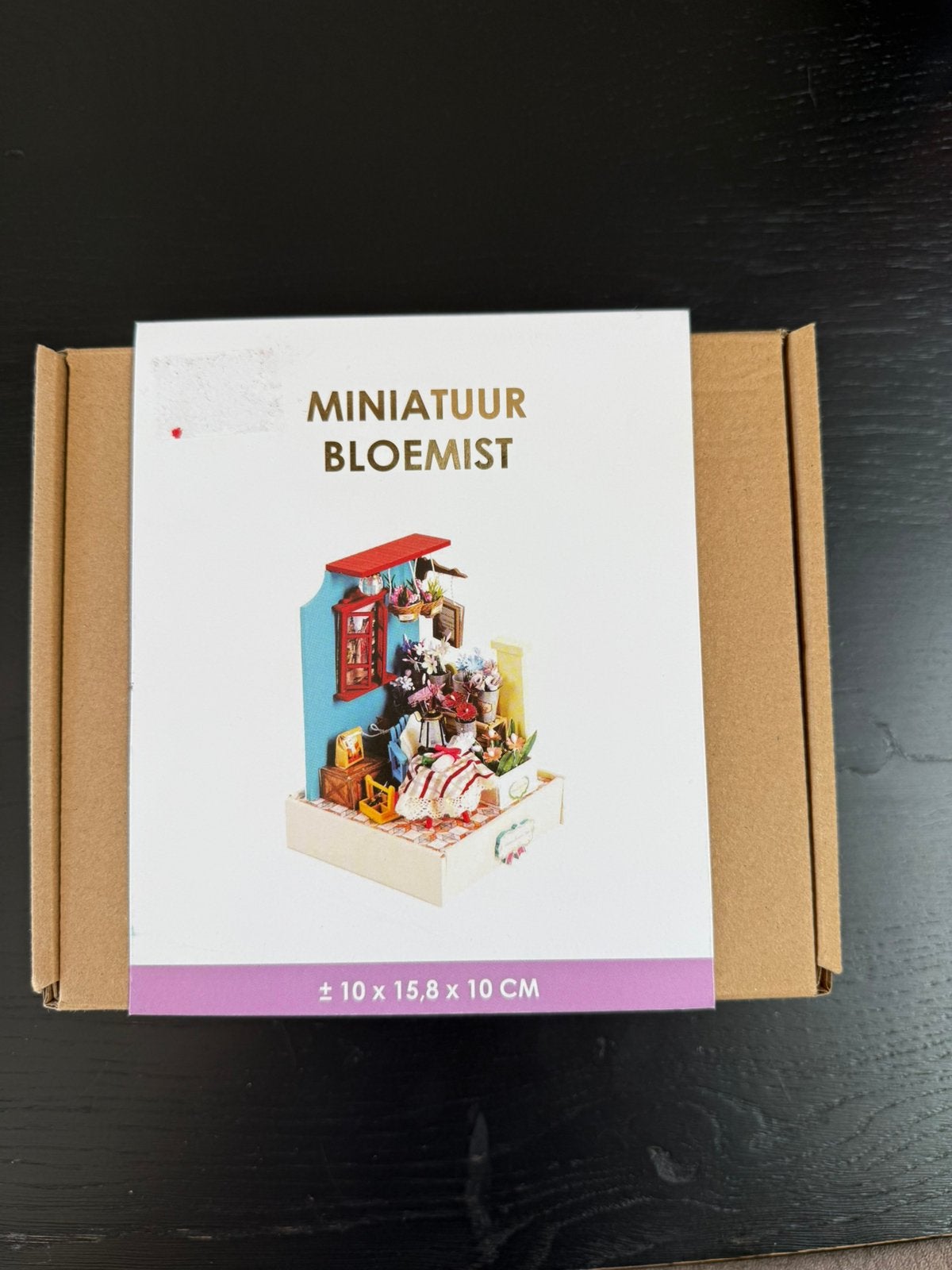 Miniatuur bouw, Hobby en Vrije tijd, Knutselen, Ophalen, Nieuw
