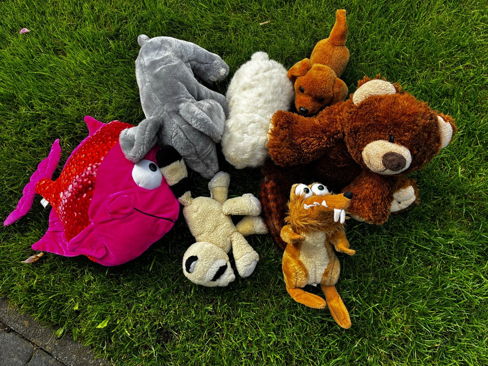 Diverse knuffels: olifant, bever, hond, beer, wasbeer en vis, Gebruikt, Overige merken, Overige karakters, Ophalen of Verzenden