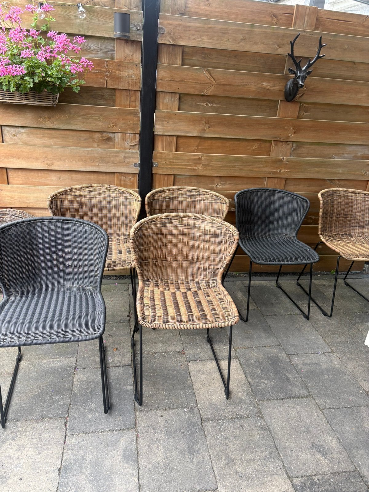 6 rotan stoelen van Woood in nieuwstaat, Huis en Inrichting, Stoelen, Ophalen, Overige kleuren, Metaal, Vijf, Zes of meer stoelen