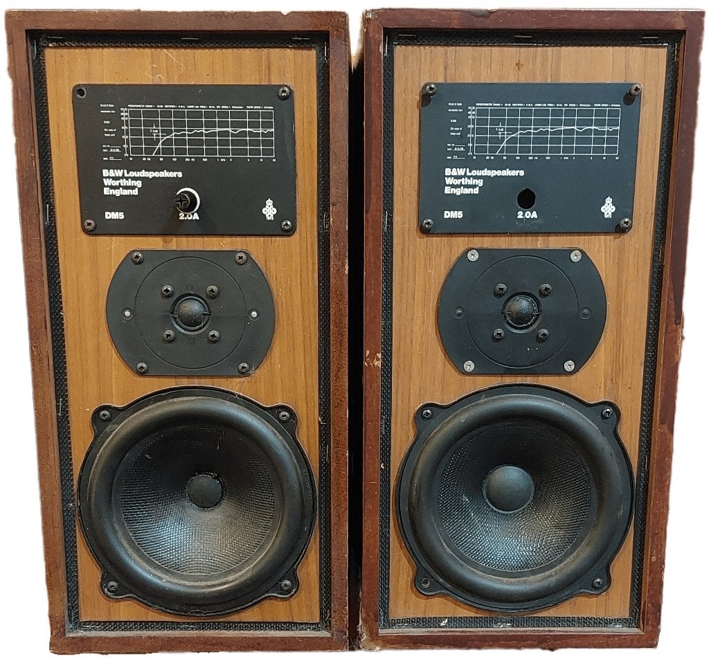 B&W DM5 Luidsprekers - Klassiek Geluid, Audio, Tv en Foto, Luidsprekers, Ophalen, Gebruikt, Bowers & Wilkins (B&W), Minder dan 60 watt