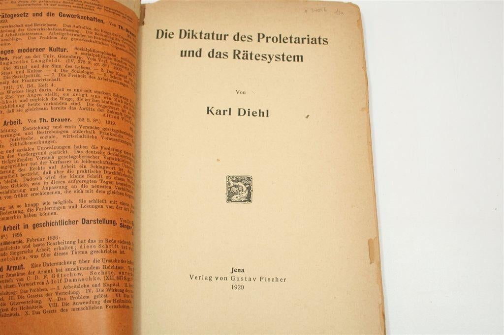 Diktatur des Proletariats — Rätesystem, Jena 1920, Ophalen of Verzenden