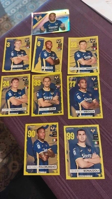Panini / 9 Stickers : Hellas Verona / 2023-2024, Ophalen of Verzenden, Nieuw, Buitenlandse clubs, Poster, Plaatje of Sticker