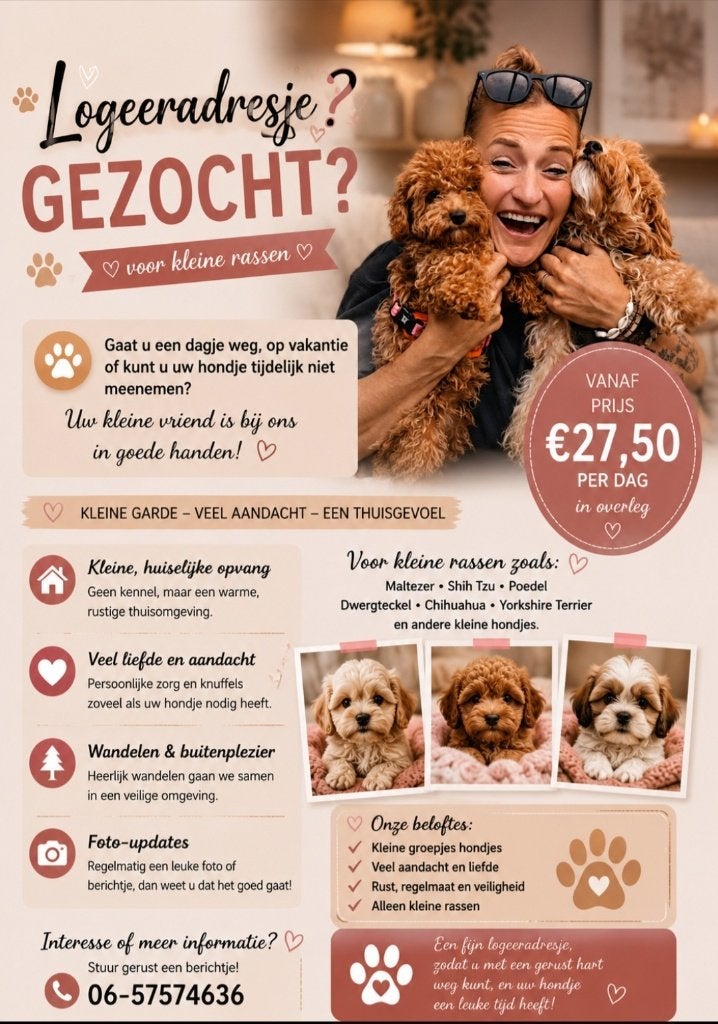 ️ Liefdevolle opvang voor kleine hondjes, Particuliere oppas