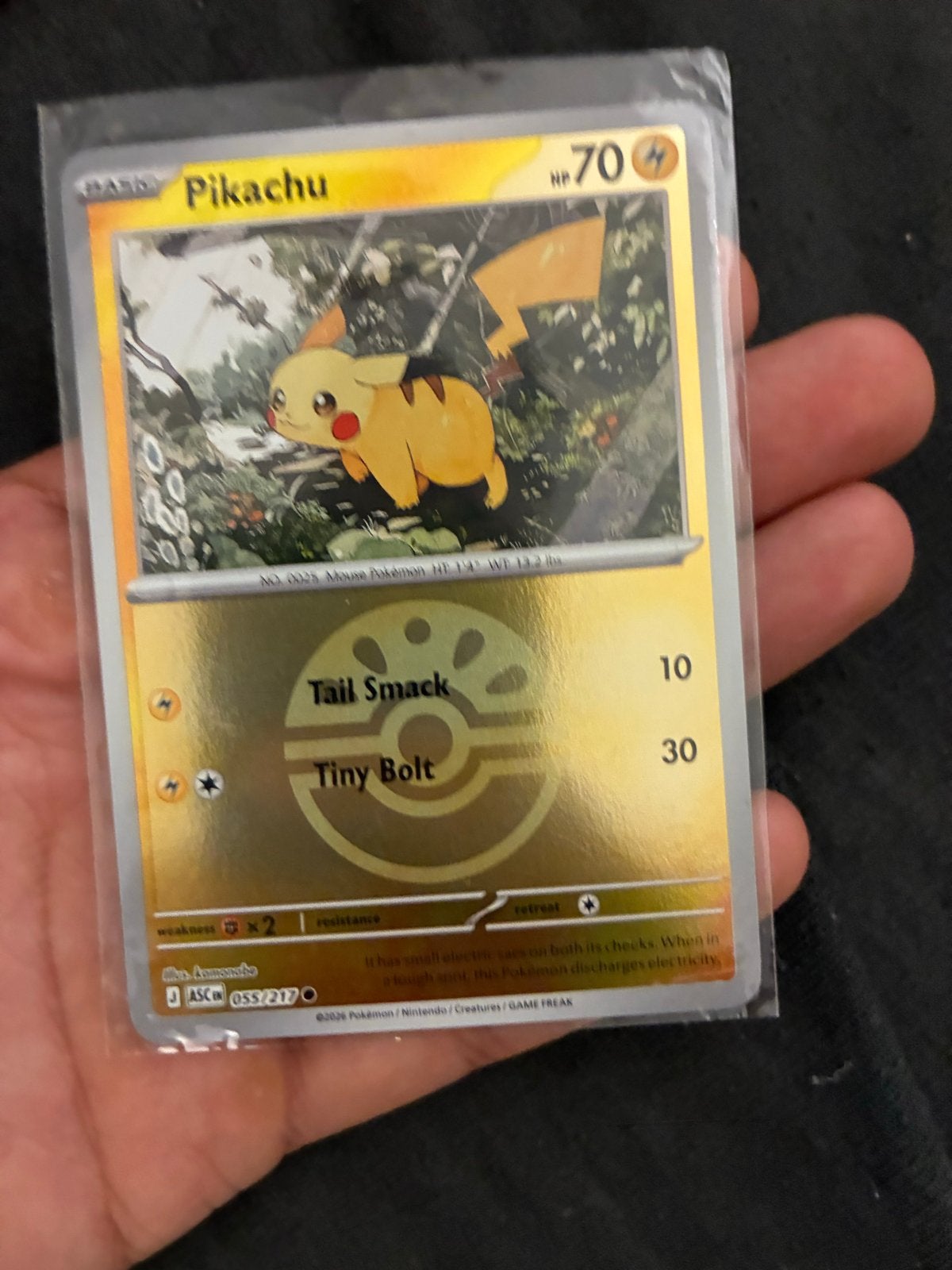 Pikachu Friend Ball Pokémon Kaart - Zeldzaam en Uniek!, Hobby en Vrije tijd, Verzamelkaartspellen | Pokémon, Ophalen, Nieuw, Losse kaart