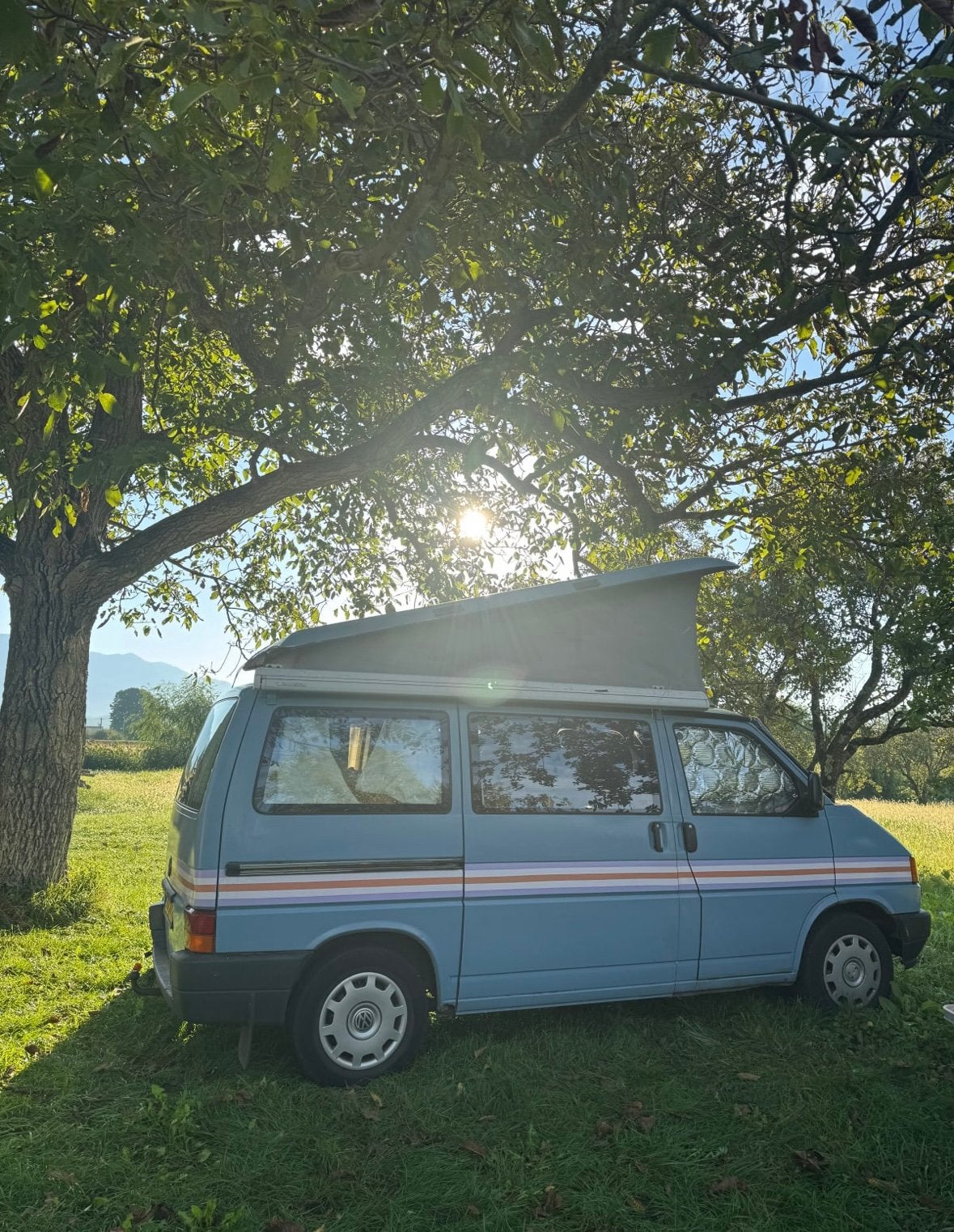 VW T4 Westfalia 2.4D (1991) - APK juni 2027, Buscamper of Camperbus, Volkswagen, Particulier, Tot en met 4