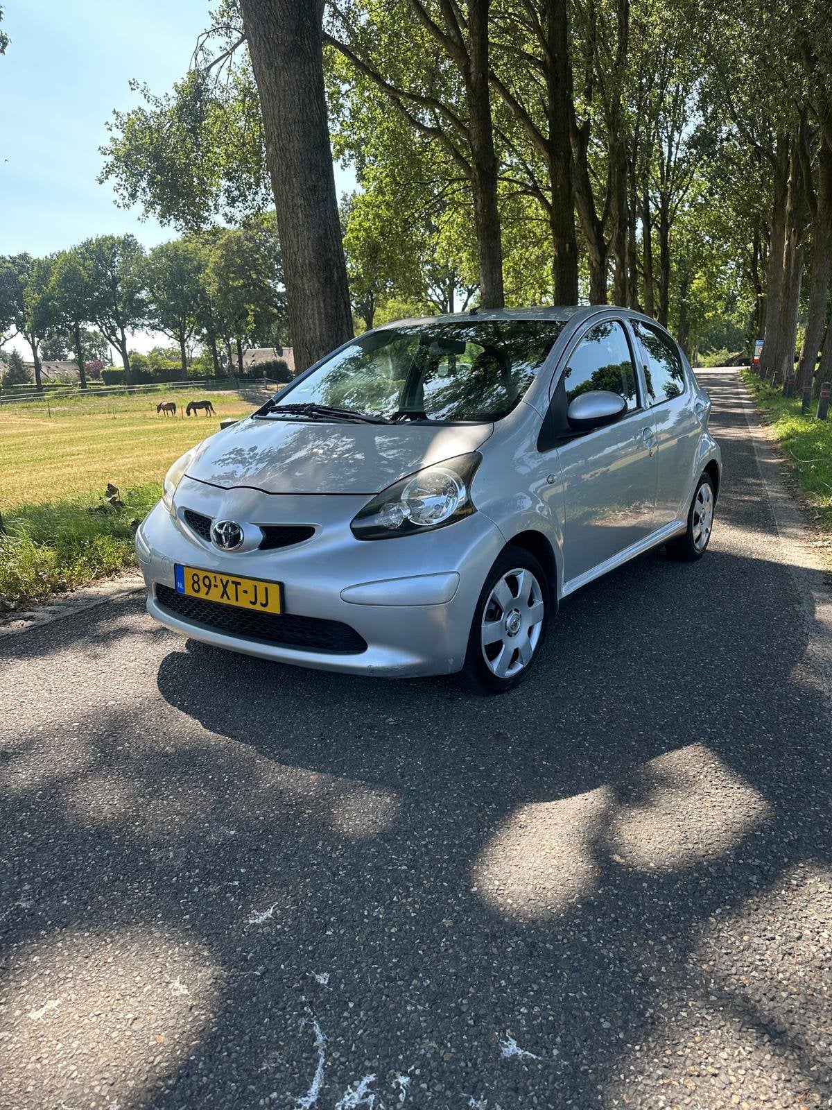 Toyota Aygo 1.0 | 2007 | Grijs | Zuinig | Betrouwbaar