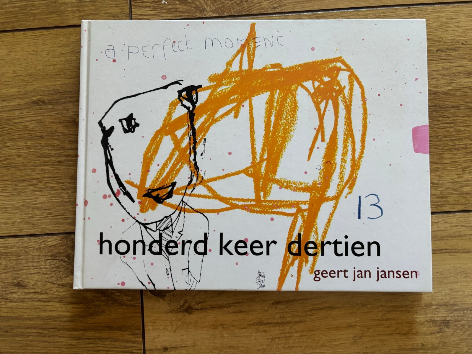 Honderd keer dertien - Geert Jan Jansen (a perfect moment), Ophalen of Verzenden, Zo goed als nieuw, Nederland