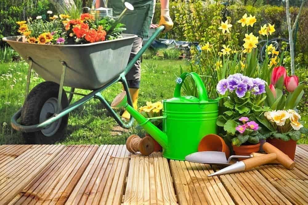 Gezocht: hulp voor tuinonderhoud & schoonmaak, Tuinonderhoud of Snoeiwerk
