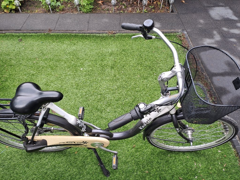 Damesfiets, Ophalen, Gebruikt, Overige merken