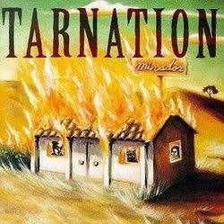 cd van Tarnation – Mirador [promo], Verzenden, Zo goed als nieuw, Poprock