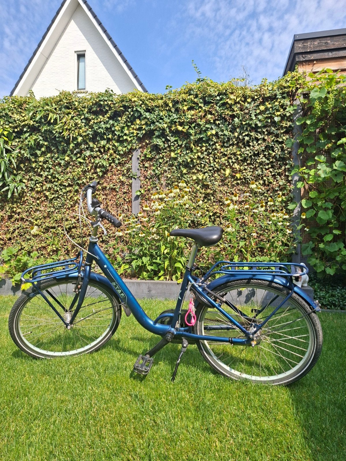 blauwe kinderfiets, Ophalen, Gebruikt, 20 inch of meer, Batavus®