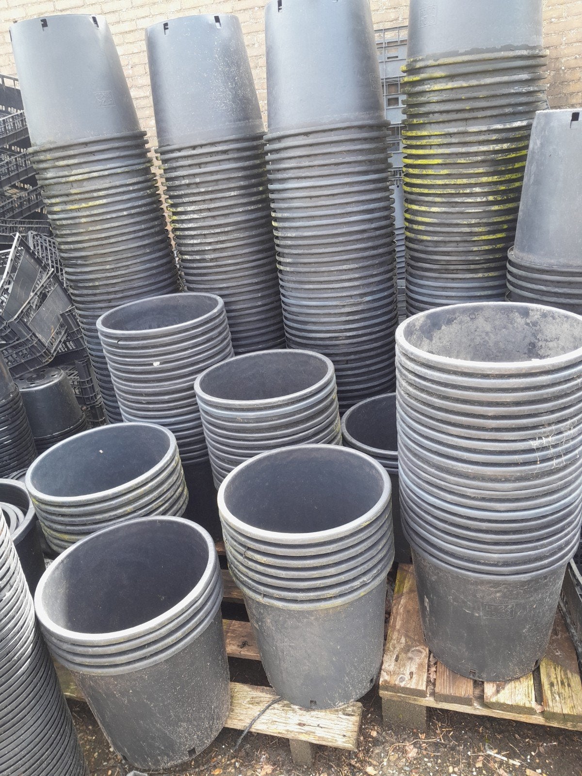 Diverse gebruikte kunststof plantenpotten, Ophalen