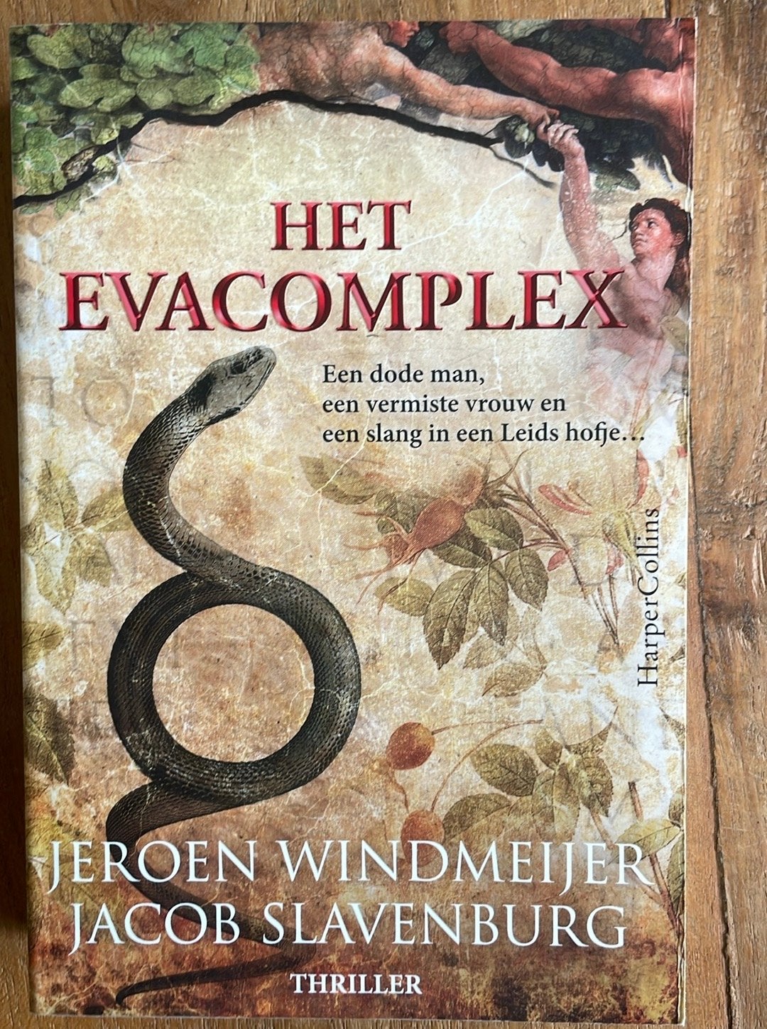 Het Evacomplex - Jeroen Windmeijer & Jacob Slavenburg, Boeken, Thrillers, Ophalen of Verzenden, Gelezen, Nederland