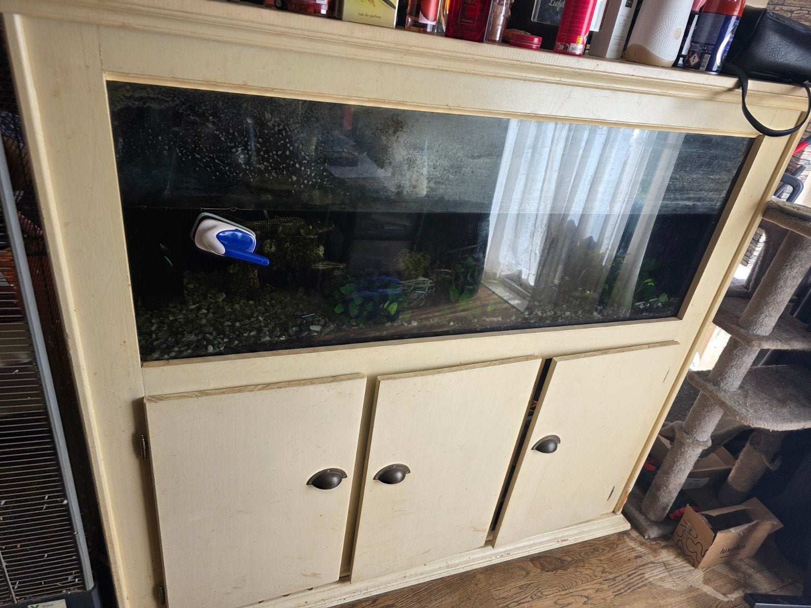 Gratis aquarium, Dieren en Toebehoren, Ophalen, Gebruikt, Leeg aquarium