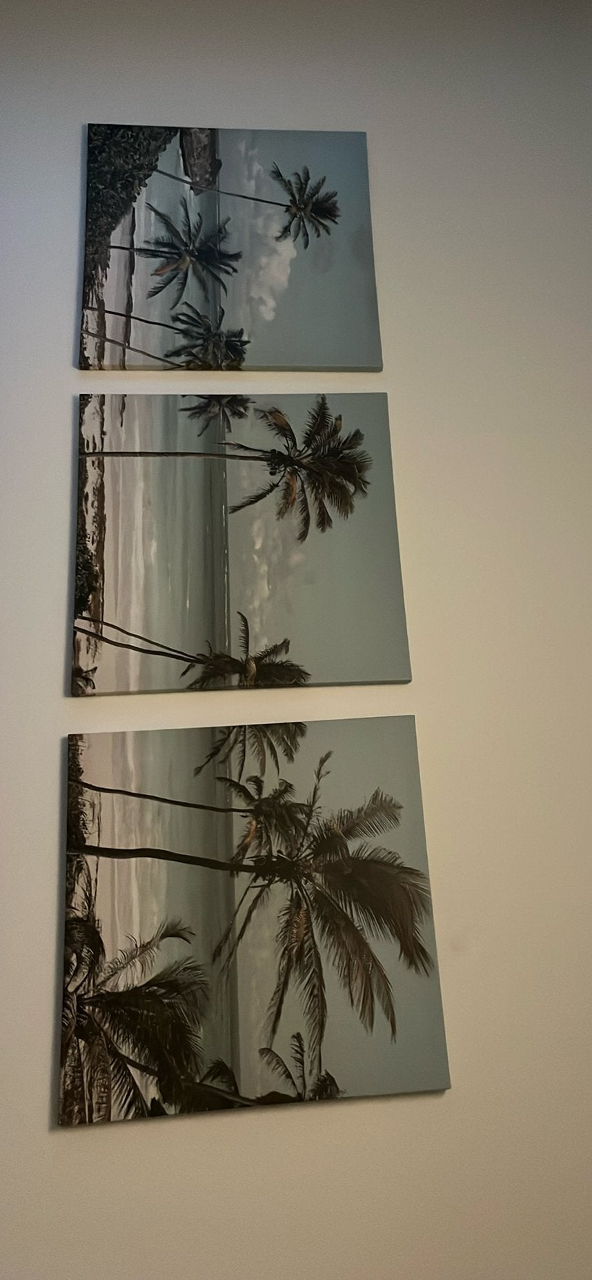 Wanddecoratie palmbomen, Ophalen