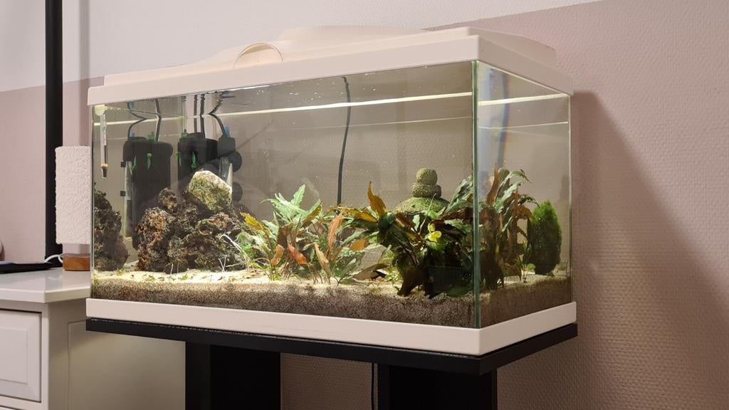 Aquarium incl. garnalen 54l, Ophalen, Gebruikt, Overige merken, Inclusief vissen