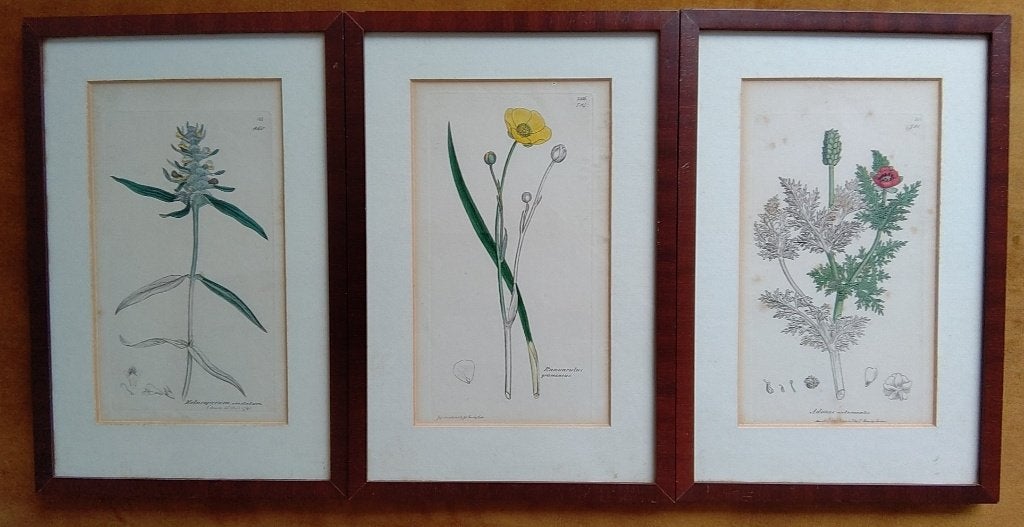 Drie originele handgekleurde kopergravures uit 1832, 1800 - 1899, 27 cm, Ophalen of Verzenden, Gravure